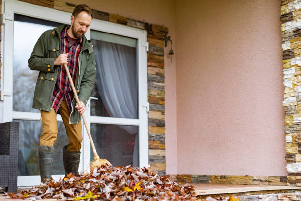 Best Basement Cleanout Services  in Wetherington, OH